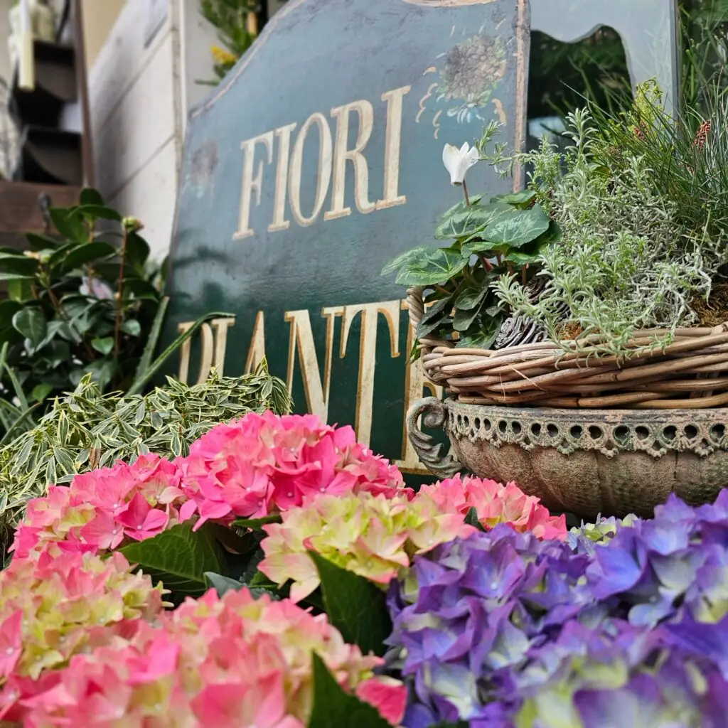 Composizione di fiori freschi accanto all'insegna in metallo della bottega