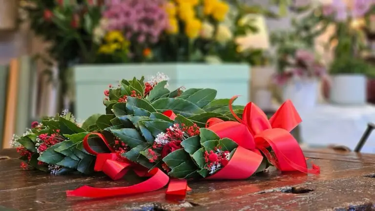 Corona di laurea in alloro con roselline rosse e nastro di raso rosso, distesa su un tavolo di legno