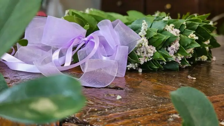 Dettaglio di una corona di laurea in alloro con fiorellini bianchi e un fiocco di organza lilla