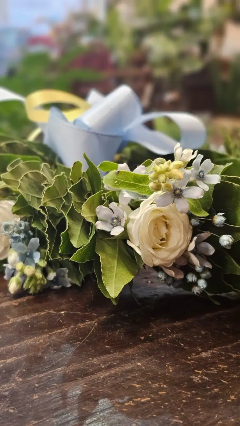 Corona di laurea in foglie di alloro con rose bianche, fiorellini azzurri e fiocco di raso azzurro e giallo