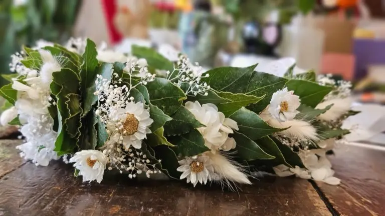Corona di laurea in alloro con margherite bianche e gypsophila, distesa su un tavolo di legno