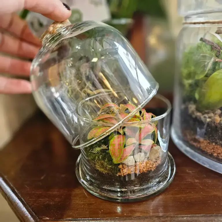 Un piccolo terrario dentro un barattolo di vetro, tenuto in mano